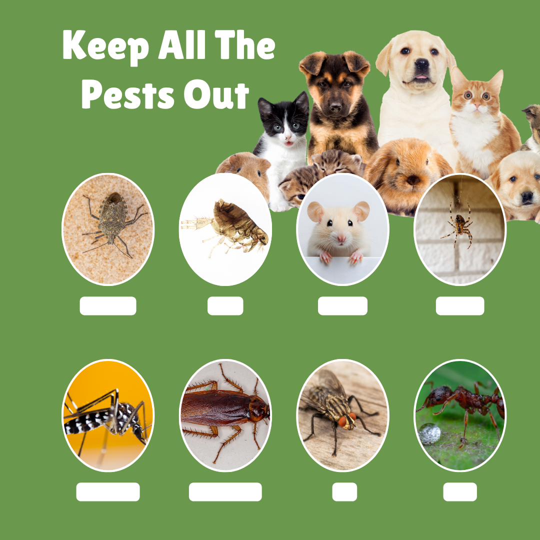 Don't Let Pests Harm the Ones You Love Most