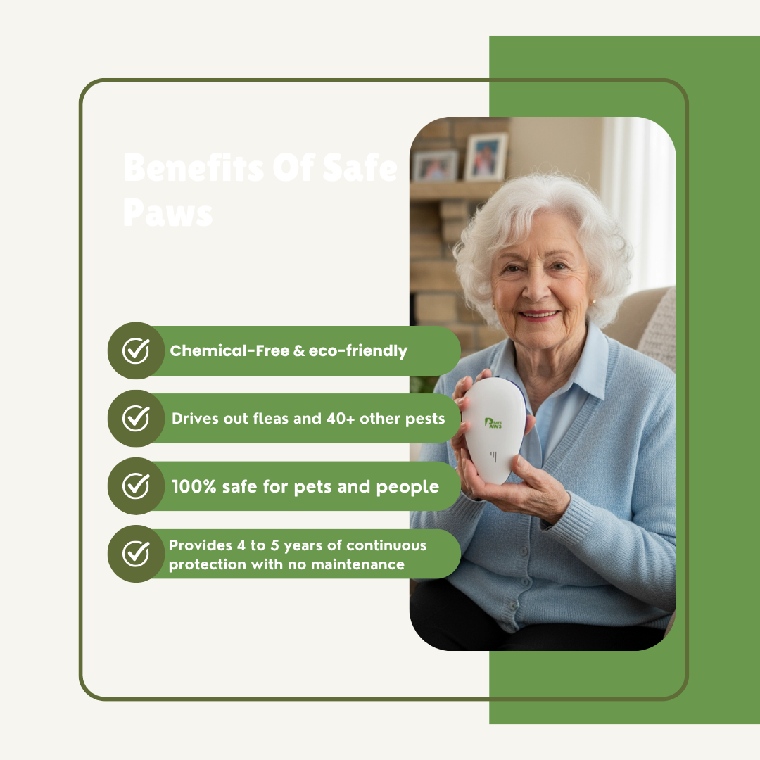 Don't Let Pests Harm the Ones You Love Most