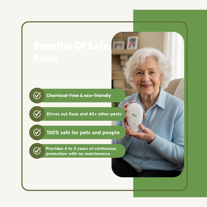 Don't Let Pests Harm the Ones You Love Most