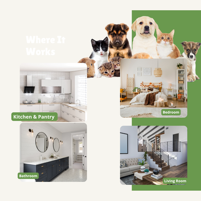 Don't Let Pests Harm the Ones You Love Most